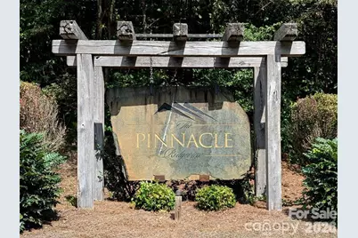 14 Spring Hollow Road, Lake Lure, NC 28746 - Photo 3