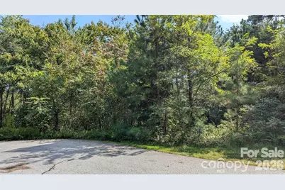 14 Spring Hollow Road, Lake Lure, NC 28746 - Photo 5