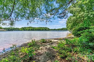 318 Ambleside Vlg Ln, Davidson, NC 28036 - Photo 33