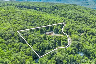 1025 Jeter Mountain Rd, Penrose, NC 28766 - Photo 47