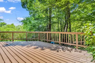 122 Birchwood Dr, Hendersonville, NC 28739 - Photo 43