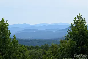122 Birchwood Dr, Hendersonville, NC 28739 - Photo 3