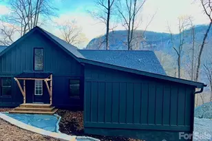 384 Cascada Vista Dr, Chimney Rock Village, NC 28720 - Photo 1