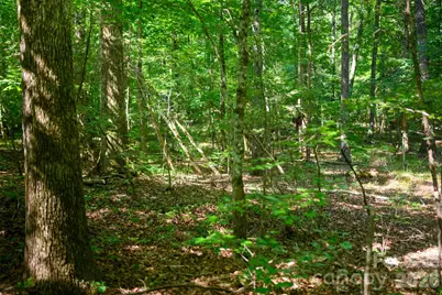 6917 Walnut Grove Church Road, Hurdle Mills, NC 27541 - Photo 23