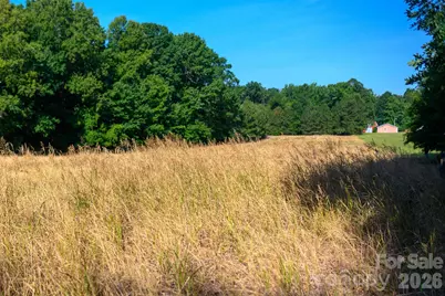 6917 Walnut Grove Church Road, Hurdle Mills, NC 27541 - Photo 31