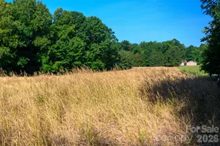 6917 Walnut Grove Church Rd, Hurdle Mills, NC 27541 - Photo 31