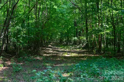 6917 Walnut Grove Church Road, Hurdle Mills, NC 27541 - Photo 21
