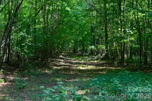 6917 Walnut Grove Church Rd, Hurdle Mills, NC 27541 - Photo 21