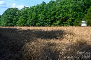 6917 Walnut Grove Church Rd, Hurdle Mills, NC 27541 - Photo 27