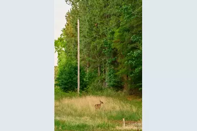 6917 Walnut Grove Church Road, Hurdle Mills, NC 27541 - Photo 29