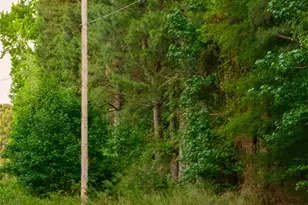 6917 Walnut Grove Church Rd, Hurdle Mills, NC 27541 - Photo 29