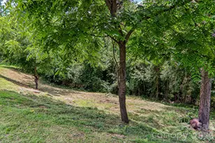 85 Star Flower Rd, Alexander, NC 28701 - Photo 33