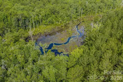 0 Hwy 1 Highway, Patrick, SC 29584 - Photo 13