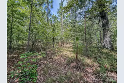 0 Hwy 1 Highway, Patrick, SC 29584 - Photo 7