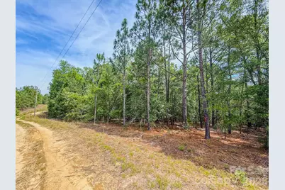 0 Hwy 1 Highway, Patrick, SC 29584 - Photo 17
