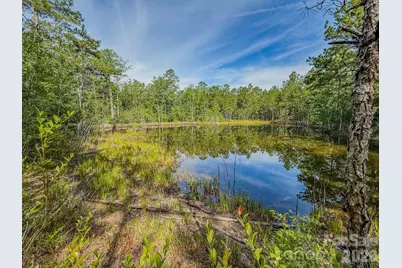 0 Hwy 1 Highway, Patrick, SC 29584 - Photo 1