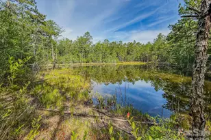 0 Hwy 1 Hwy, Patrick, SC 29584 - Photo 1