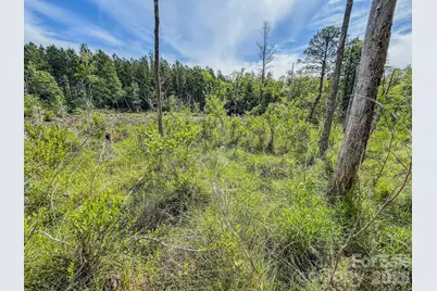 0 Hwy 1 Highway, Patrick, SC 29584 - Photo 11