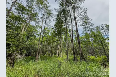 0 Hwy 1 Highway, Patrick, SC 29584 - Photo 27