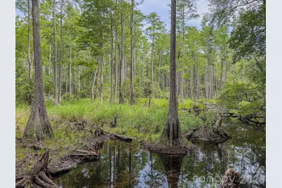 0 Hwy 1 Highway, Patrick, SC 29584 - Photo 25