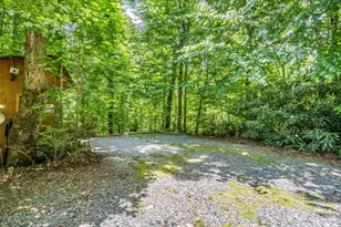 707 Cascade Trail, Pisgah Forest, NC 28768 - Photo 43