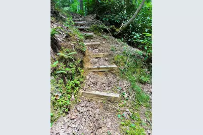 707 Cascade Trail, Pisgah Forest, NC 28768 - Photo 47