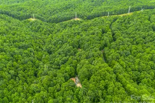 707 Cascade Trail, Pisgah Forest, NC 28768 - Photo 47
