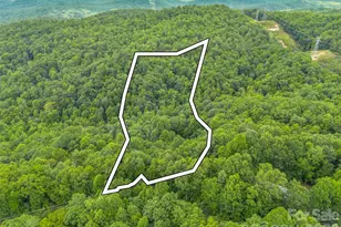 707 Cascade Trail, Pisgah Forest, NC 28768 - Photo 45