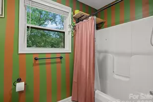 22 Wilson Creek Dr, Asheville, NC 28803 - Photo 23
