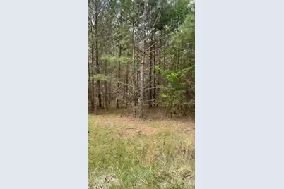 117 Church View Drive, Lawndale, NC 28090 - Photo 1