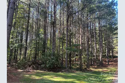 651 Dills Road, Rutherfordton, NC 28139 - Photo 35