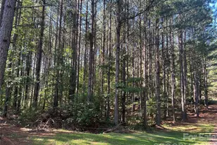 651 Dills Rd, Rutherfordton, NC 28139 - Photo 35