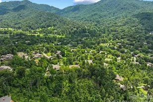48 Stony Ridge, Asheville, NC 28804 - Photo 35