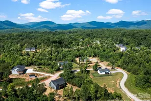 105 S Vineyard Vlg Dr, Old Fort, NC 28762 - Photo 31