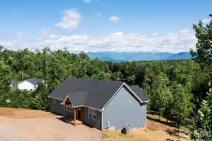 105 S Vineyard Vlg Dr, Old Fort, NC 28762 - Photo 33
