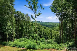 1288 Johns Ridge Pkwy, Lenoir, NC 28645 - Photo 23