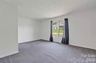 117 Caldonia Dr, Candler, NC 28715 - Photo 15
