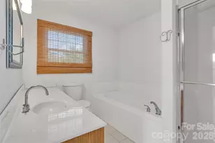 117 Caldonia Dr, Candler, NC 28715 - Photo 17