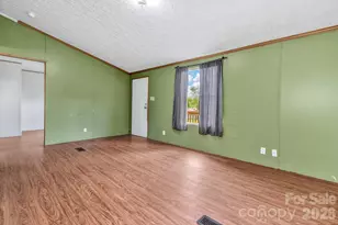 12 Green Cove Ln, Alexander, NC 28701 - Photo 3