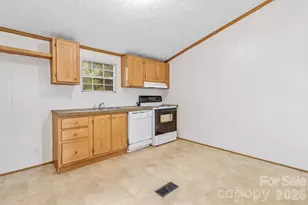 12 Green Cove Ln, Alexander, NC 28701 - Photo 7