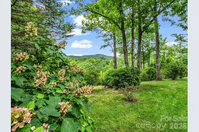 131 Arcadia Falls Way, Black Mountain, NC 28711 - Photo 47