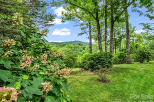 131 Arcadia Fls Wy, Black Mountain, NC 28711 - Photo 47