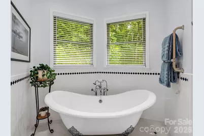 131 Arcadia Falls Way, Black Mountain, NC 28711 - Photo 29