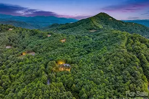 131 Arcadia Fls Wy, Black Mountain, NC 28711 - Photo 3