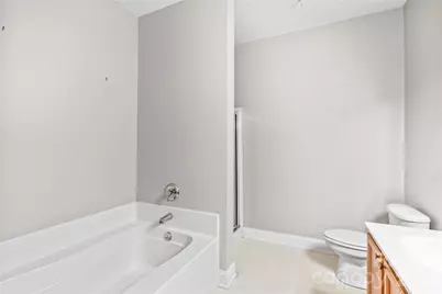 21231 Hickory Street, Cornelius, NC 28031 - Photo 19