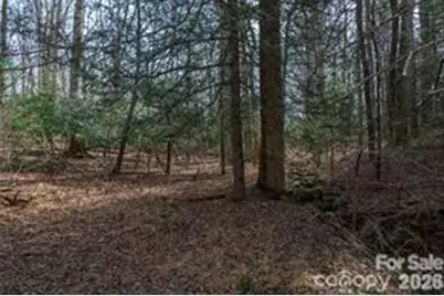 Tbd Ball Gap Road, Arden, NC 28704 - Photo 5