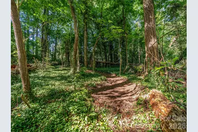 103 Aurora Drive #2, Asheville, NC 28805 - Photo 7