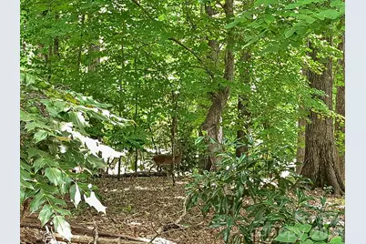 4737 Rounding Run Road, Charlotte, NC 28277 - Photo 33