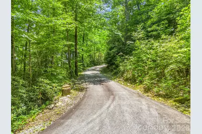 39 Lambert Lane, Black Mountain, NC 28711 - Photo 43