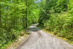 39 Lambert Ln, Black Mountain, NC 28711 - Photo 43